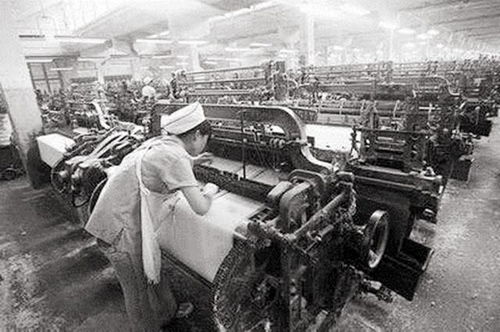 血脈與親情 當棄嬰面對生父母