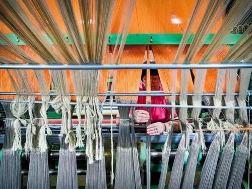 美國出口管制清單新增14類技術，特種紡織品貿易面臨新挑戰